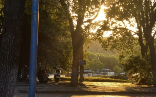 书熊阅读app下载 书熊阅读app下载