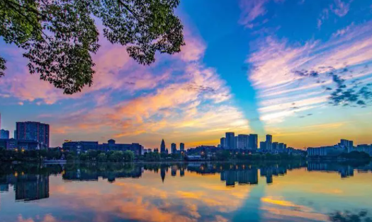 数字铜陵app官方下载 数字铜陵app官方下载