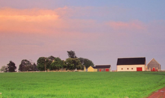 有书听书手机版下载