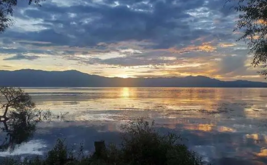 青梨阅读追书神器app下载