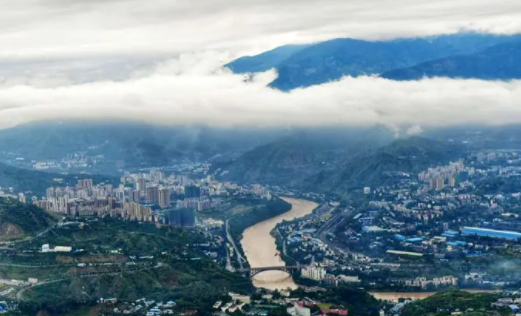 攀枝花开手机客户端下载