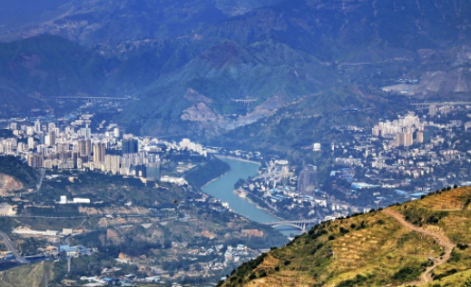 攀枝花开手机客户端下载