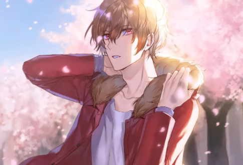 boylove官方下载安卓版