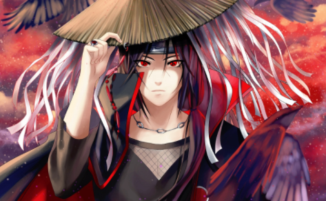 boylove官方下载安卓版