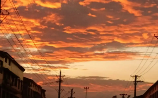 全网小说大全YM官方下载