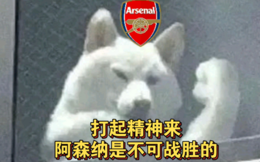 海纳体育官方最新版下载