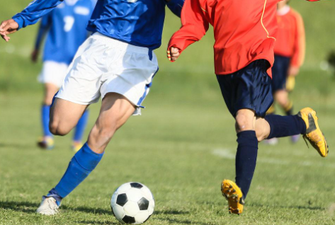 骄英体育app手机版下载