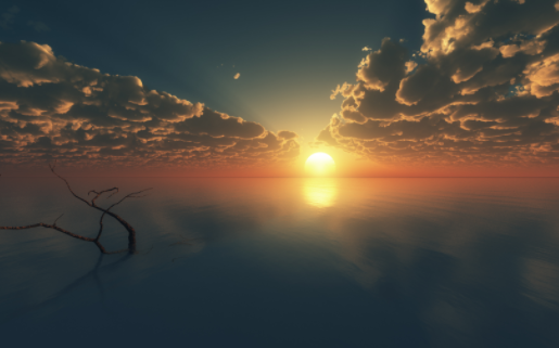 全网最全小说免费阅读器下载手机版 全网最全小说免费阅读器下载手机版