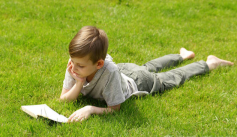 追书帮app最新版下载