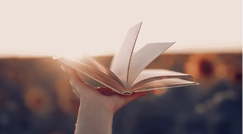 已阅app官方版下载