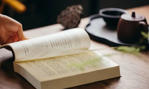 椿和小说app最新版下载