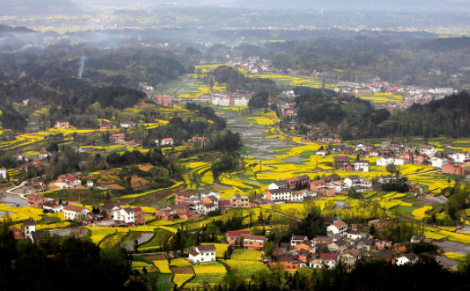 爱南郑官方正版下载