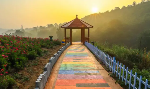 铜川融媒app手机版下载