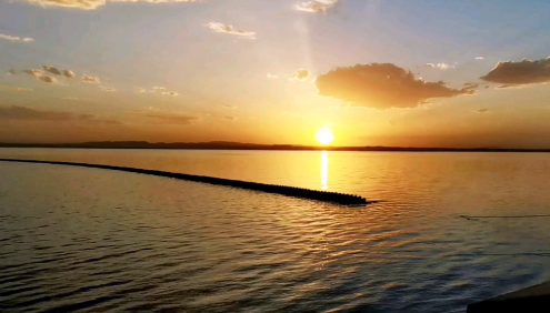 乌海融媒app下载最新版