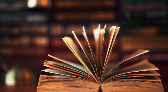 必访小说下载最新版本