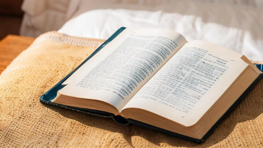 免费读小说app最新版下载 免费读小说app最新版下载