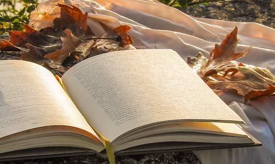 水仙阅读app手机版下载