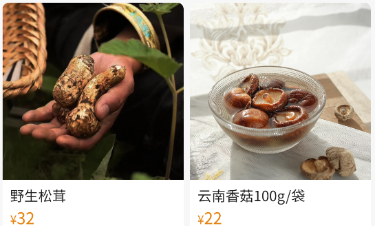 七彩康养app最新版本下载