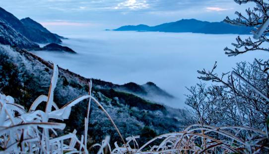 全州融媒app手机版下载 全州融媒app手机版下载