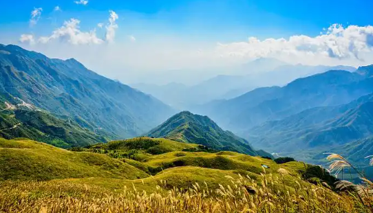 全州融媒app手机版下载 全州融媒app手机版下载