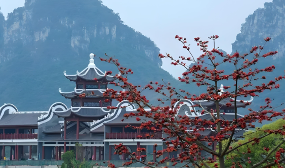 武宣关注app下载安装最新版