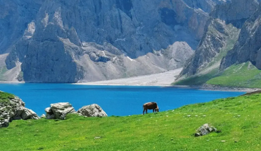 北疆融媒app手机版下载