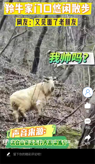 宝鸡一点通app官方版下载