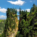 康养漳县客户端 v3.2.9 最新版