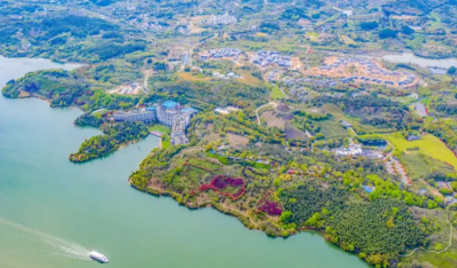 自在溧阳安卓版 自在溧阳安卓版