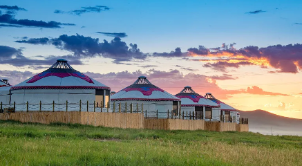 数字呼伦贝尔app官方版下载