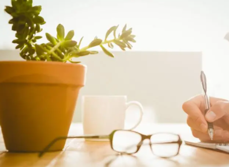 番茄作家助手app免费下载