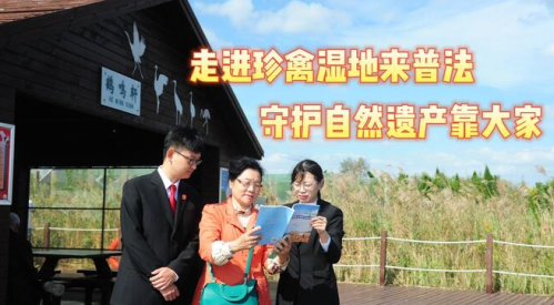 天平阳光app官方下载