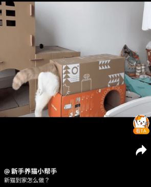 HHOLOVE智能猫窝官方app下载