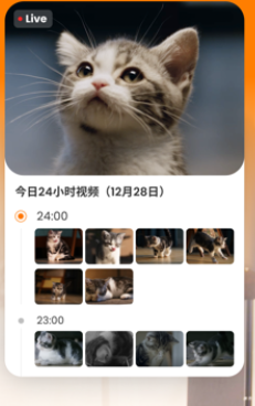 HHOLOVE智能猫窝官方app下载