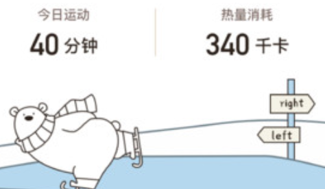 小熊体重app安卓版下载