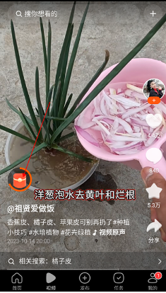 有柿下载红包版app