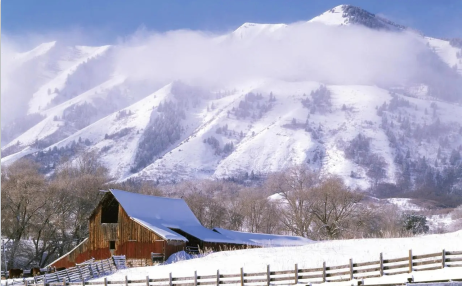 美亚商旅app官方下载2023最新版