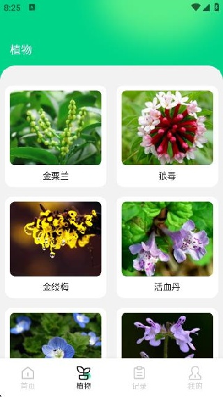 花朵物语识别app下载