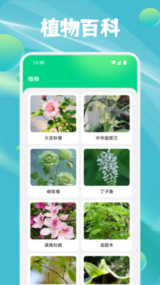 花朵物语识别app下载 v1.1 安卓版