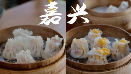 嘉兴圈app官方下载安装