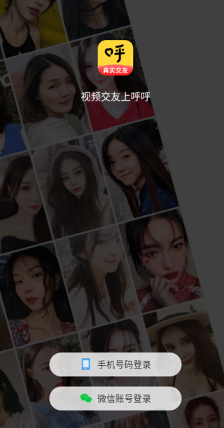 呼呼app下载