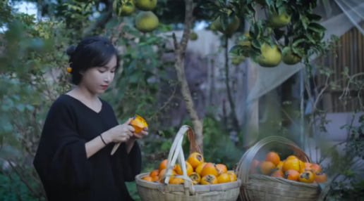 快手极速版官方正版 快手极速版官方正版