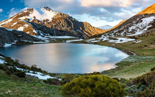 飞语影视TV版下载