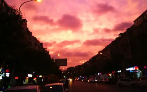 搜你妹影视官方下载