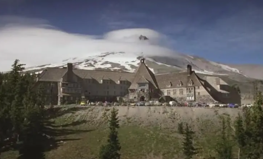 牛马影视官方下载app 牛马影视官方下载app