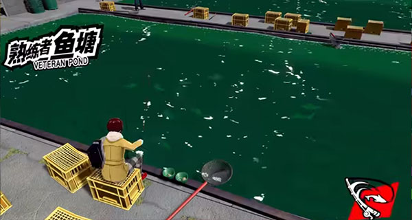 p5x官服公测版下载安装