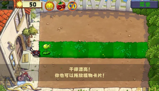 植物大战僵尸精华版游戏下载(PvZ Ultimate)