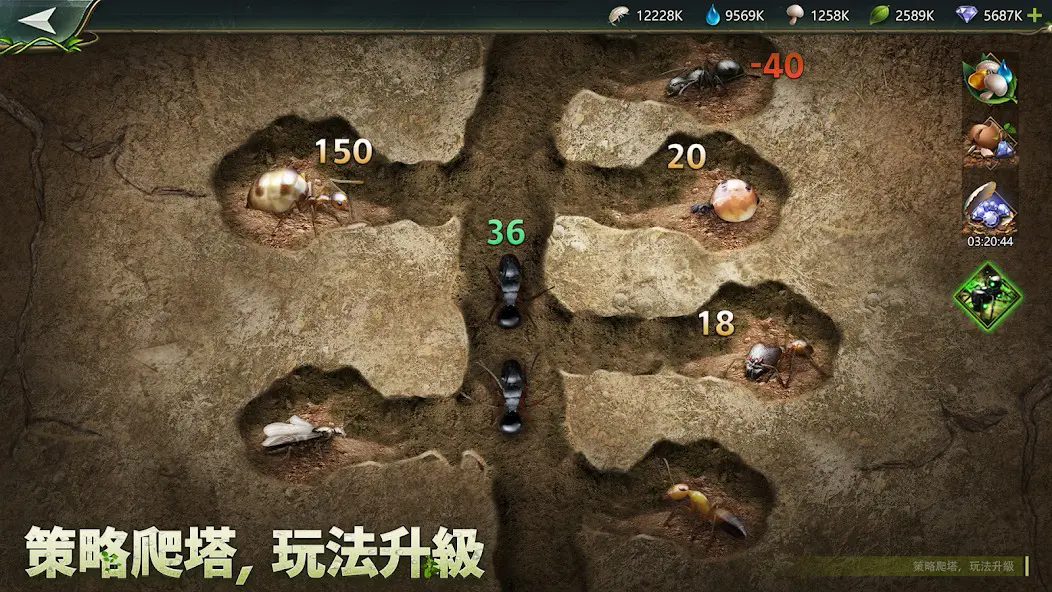 小小昆虫世界游戏下载