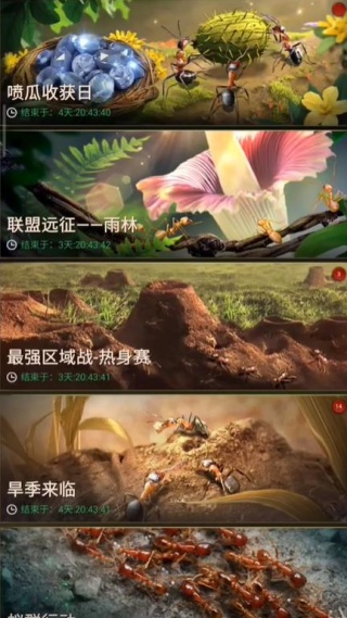 小小蚁国九游版下载2025最新版