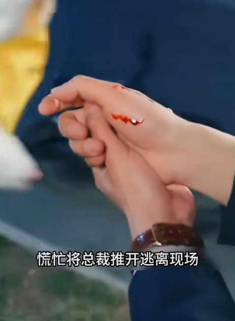 爱已无药可救短剧全集观看app下载(红果免费短剧) v6.7.1.32 免费版